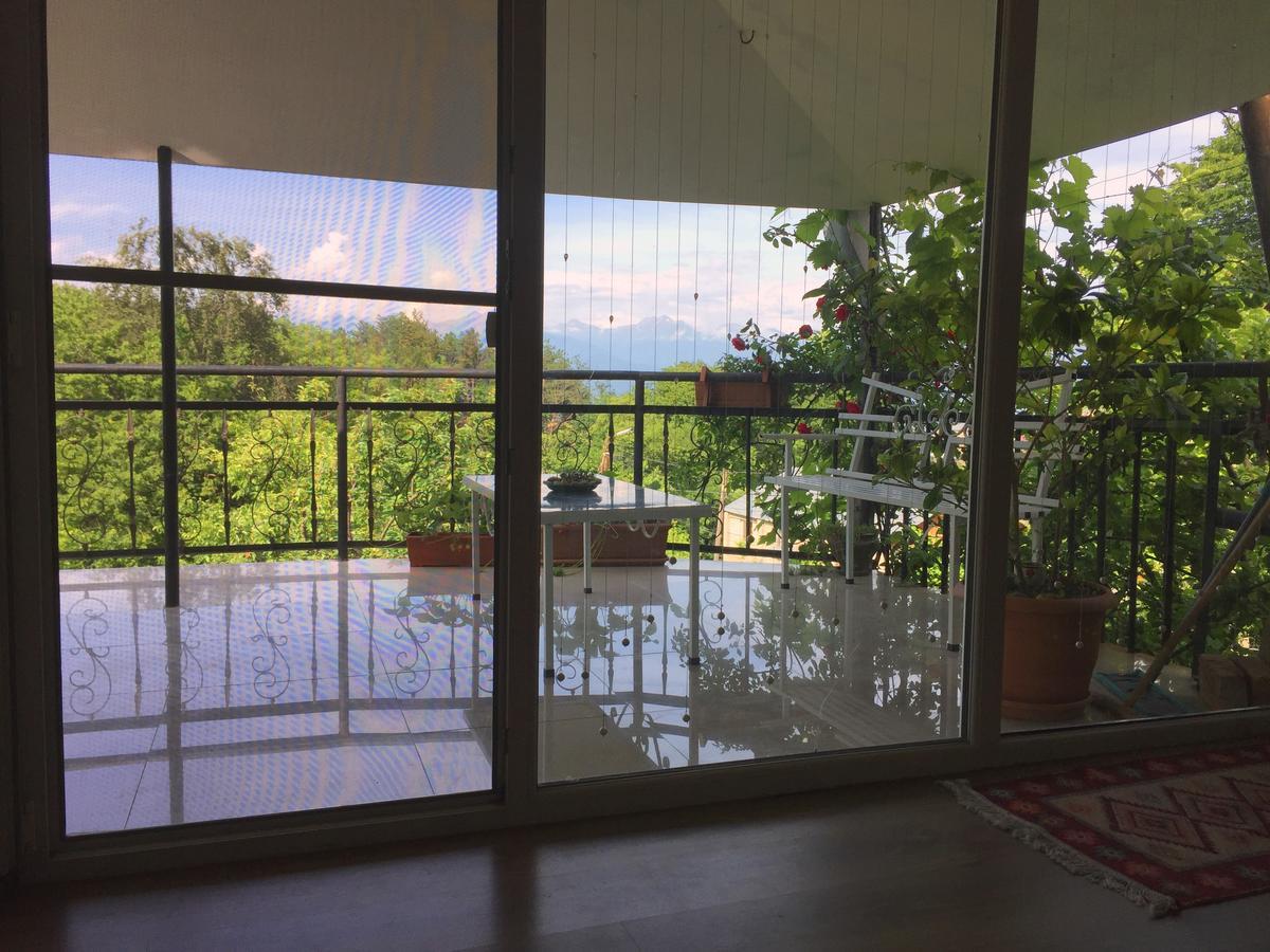 Nino'S Veranda Apartment Telavi Exterior photo